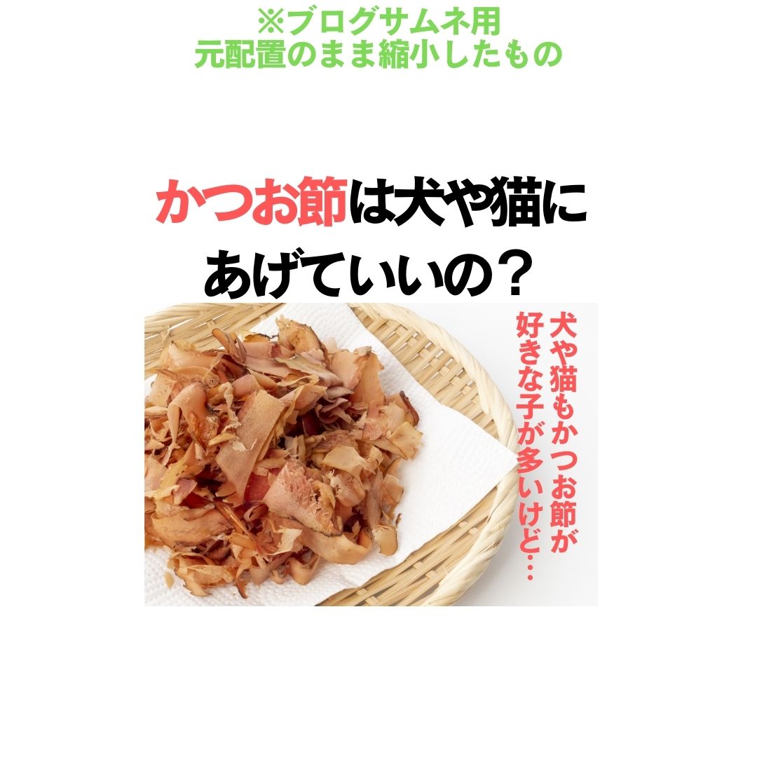 かつお節は犬や猫にあげてもいいの 和漢 みらいのドッグフード公式ブログ