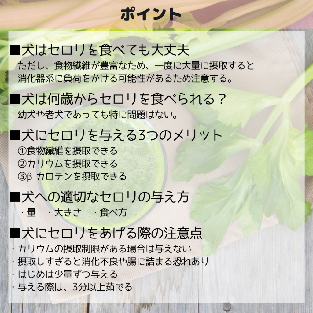 犬の腎臓病や肝臓病など特別療法食シリーズ