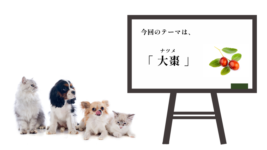犬猫　ペット　和漢植物　生薬　薬膳　自然の森製薬　みらいのドッグフード　なつめ　ナツメ
