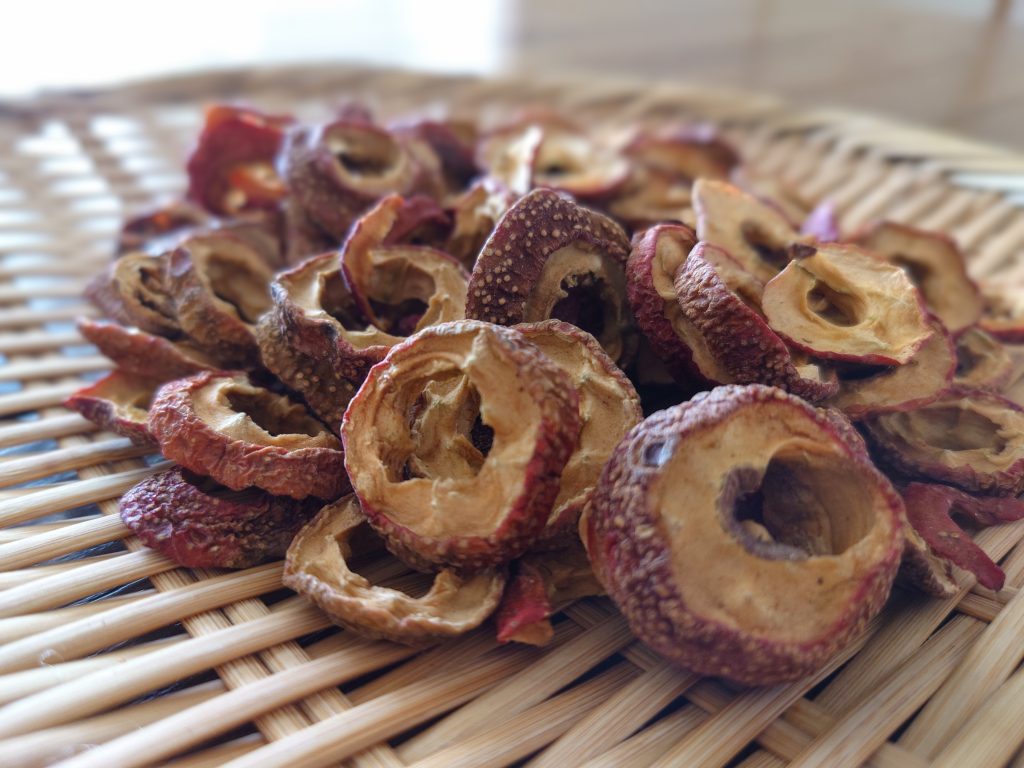 犬猫　ペット　和漢植物　生薬　薬膳　日野先生　山査子　さんざし　サンザシ