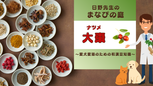 犬猫　ペット　和漢植物　生薬　薬膳　自然の森製薬　みらいのドッグフード　和漢サプリシリーズ　ペットサプリ　日野先生　なつめ　ナツメ