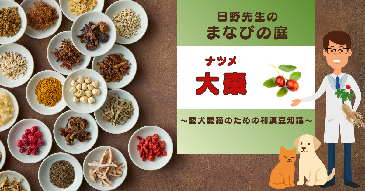 犬猫　ペット　和漢植物　生薬　薬膳　自然の森製薬　みらいのドッグフード　和漢サプリシリーズ　ペットサプリ　日野先生　なつめ　ナツメ