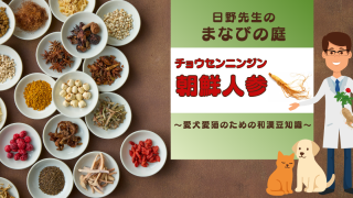 犬猫　ペット　和漢植物　生薬　薬膳　自然の森製薬　みらいのドッグフード　和漢サプリシリーズ　ペットサプリ　日野先生　朝鮮人参　チョウセンニンジン　ちょうせんにんじん