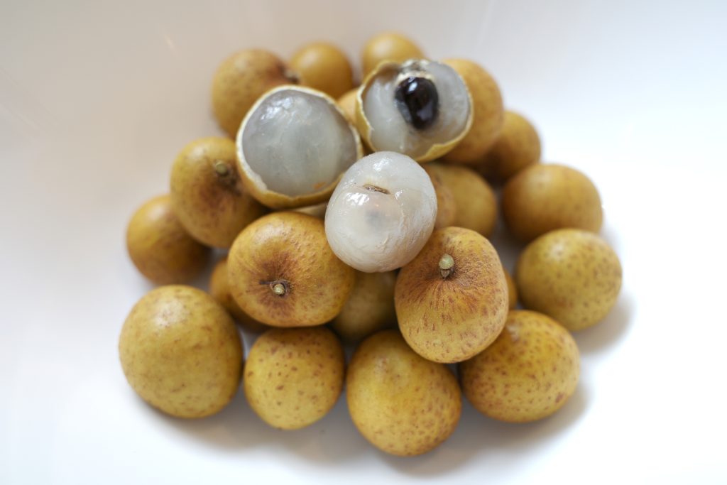 犬猫　ペット　和漢植物　生薬　薬膳　日野先生　竜眼肉　リュウガンニク　りゅうがんにく