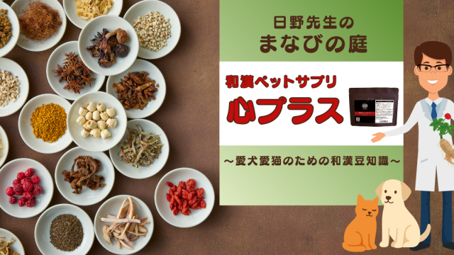 犬猫　ペット　和漢植物　生薬　薬膳　サプリ　ペットサプリ　心臓