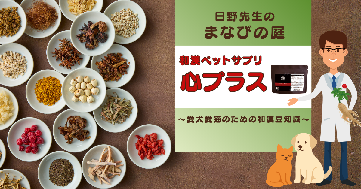 犬猫　ペット　和漢植物　生薬　薬膳　サプリ　ペットサプリ　心臓