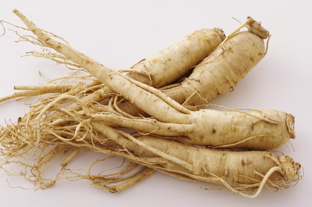 犬猫　ペット　和漢植物　生薬　薬膳　日野先生　朝鮮人参　チョウセンニンジン　ちょうせんにんじん