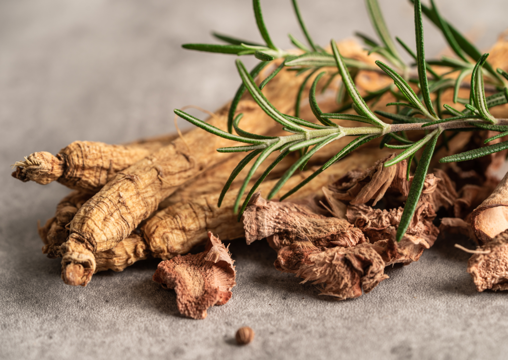 犬猫　ペット　和漢植物　生薬　薬膳　日野先生　朝鮮人参　チョウセンニンジン　ちょうせんにんじん