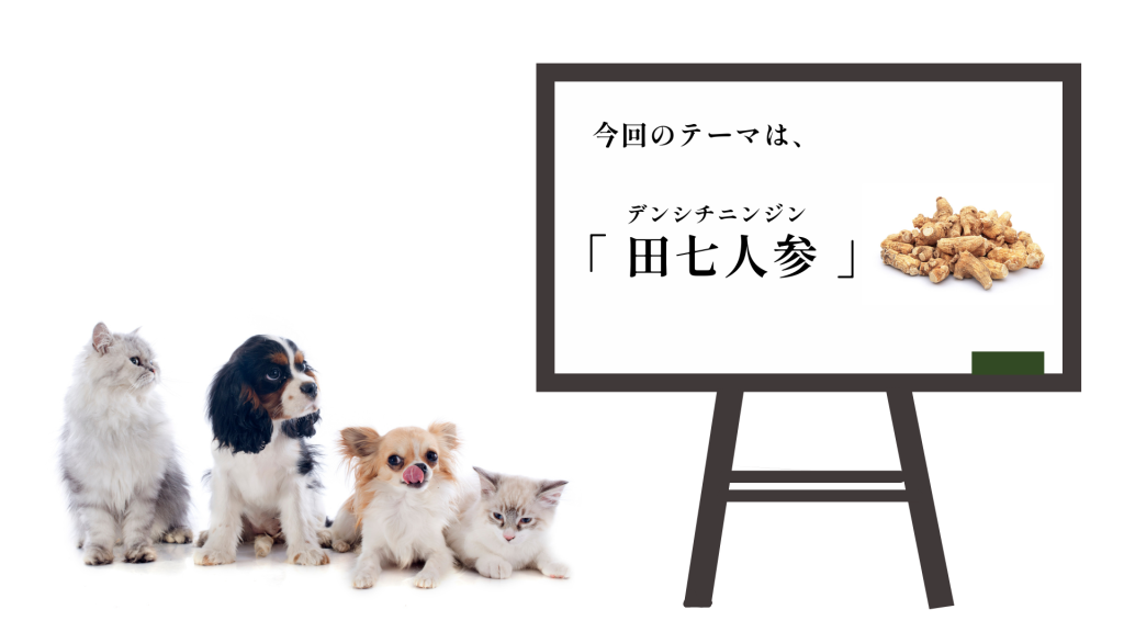 犬猫　ペット　和漢植物　生薬　薬膳　自然の森製薬　みらいのドッグフード　田七人参　でんしちにんじん　デンシチニンジン