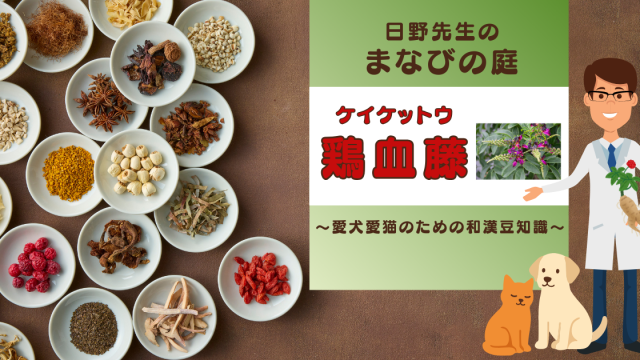 犬猫　ペット　和漢植物　生薬　薬膳　自然の森製薬　みらいのドッグフード　和漢サプリシリーズ　ペットサプリ　日野先生　鶏血藤　ケイケットウ　けいけっとう