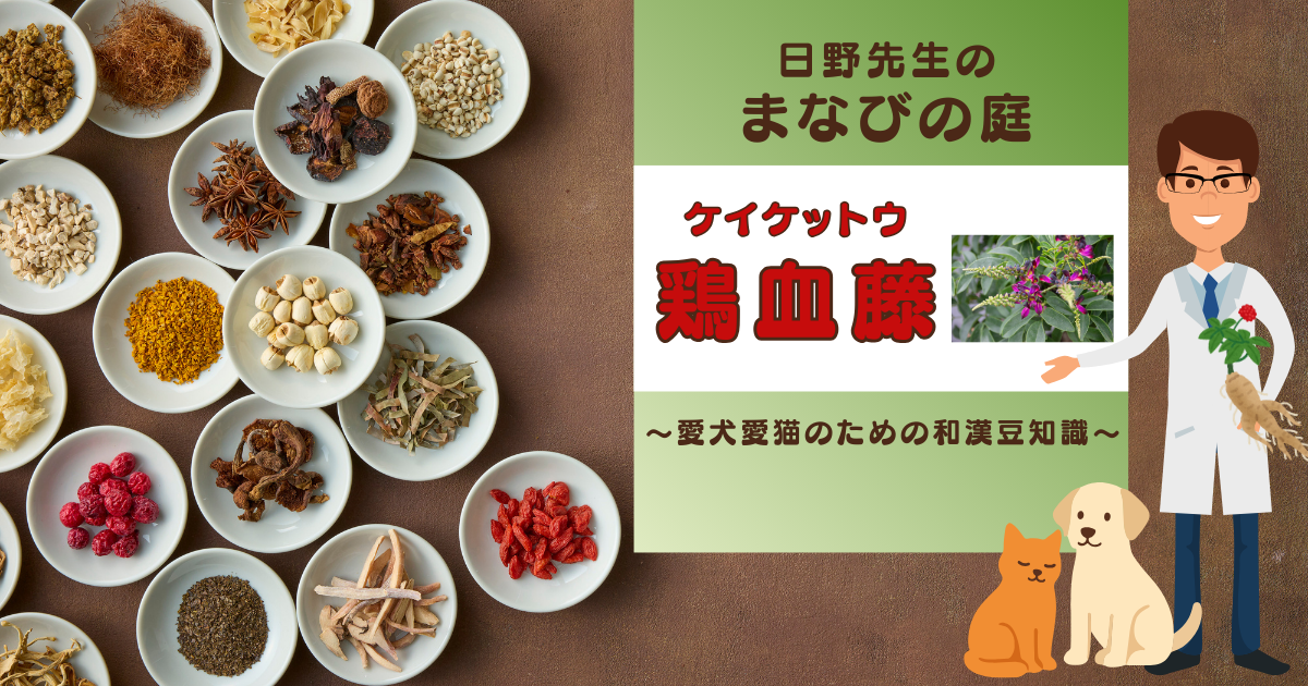 犬猫　ペット　和漢植物　生薬　薬膳　自然の森製薬　みらいのドッグフード　和漢サプリシリーズ　ペットサプリ　日野先生　鶏血藤　ケイケットウ　けいけっとう