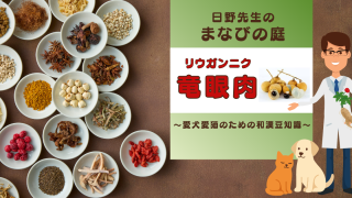犬猫　ペット　和漢植物　生薬　薬膳　自然の森製薬　みらいのドッグフード　和漢サプリシリーズ　ペットサプリ　日野先生　竜眼肉　リュウガンニク　りゅうがんにく