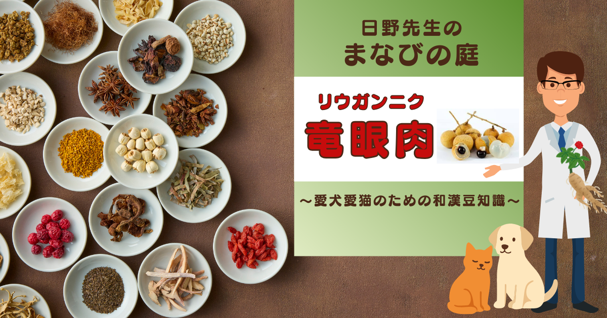 犬猫　ペット　和漢植物　生薬　薬膳　自然の森製薬　みらいのドッグフード　和漢サプリシリーズ　ペットサプリ　日野先生　竜眼肉　リュウガンニク　りゅうがんにく