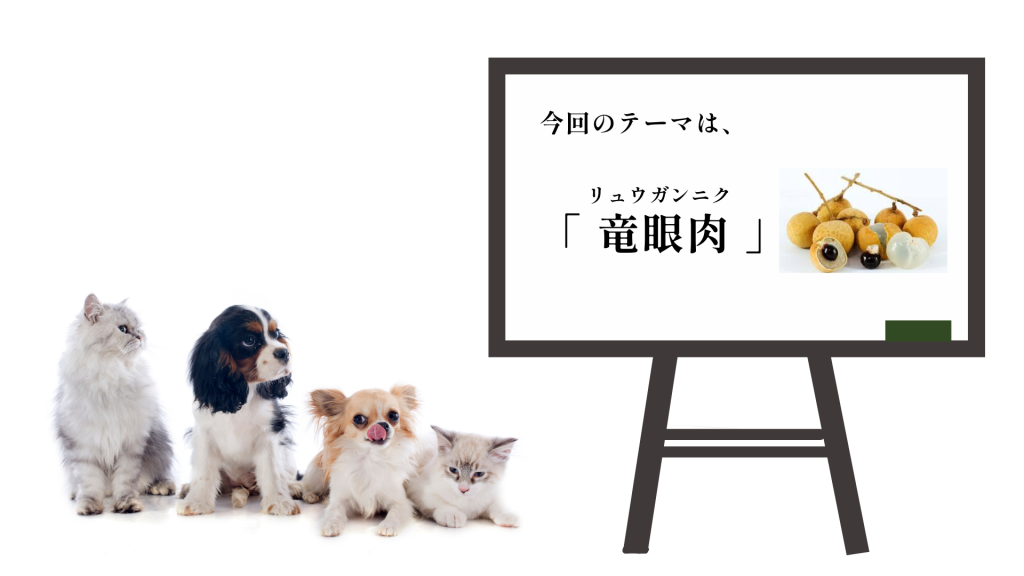 犬猫 ペット 和漢植物 生薬 薬膳 自然の森製薬 みらいのドッグフード 竜眼肉 リュウガンニク りゅうがんにく
