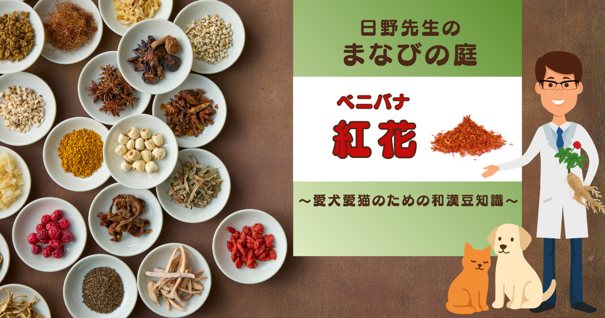 犬猫　ペット　和漢植物　生薬　薬膳　自然の森製薬　みらいのドッグフード　和漢サプリシリーズ　ペットサプリ　日野先生　紅花　べにばな　ベニバナ