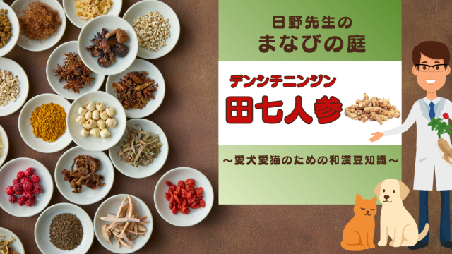 犬猫　ペット　和漢植物　生薬　薬膳　自然の森製薬　みらいのドッグフード　和漢サプリシリーズ　ペットサプリ　日野先生　田七人参　でんしちにんじん　デンシチニンジン