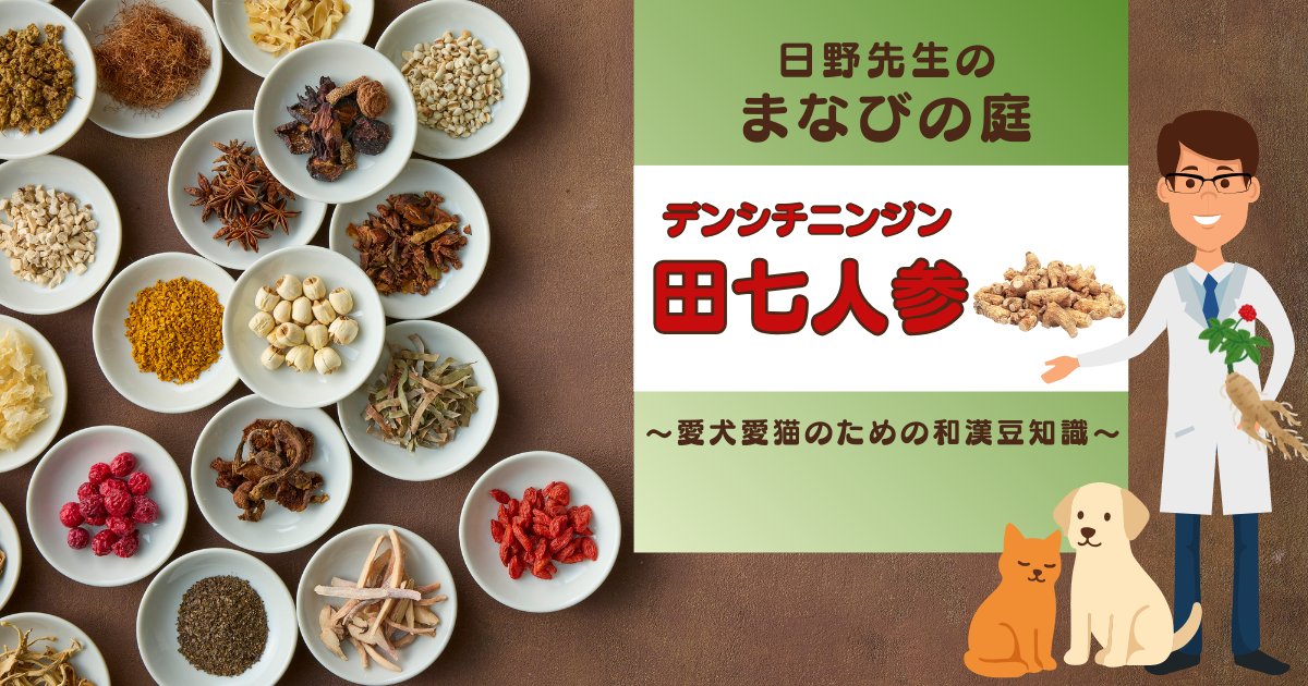 犬猫　ペット　和漢植物　生薬　薬膳　自然の森製薬　みらいのドッグフード　和漢サプリシリーズ　ペットサプリ　日野先生　田七人参　でんしちにんじん　デンシチニンジン