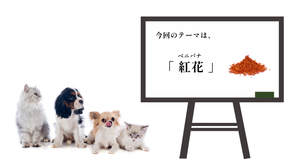 犬猫 ペット 和漢植物 生薬 薬膳 自然の森製薬 みらいのドッグフード 紅花 べにばな ベニバナ