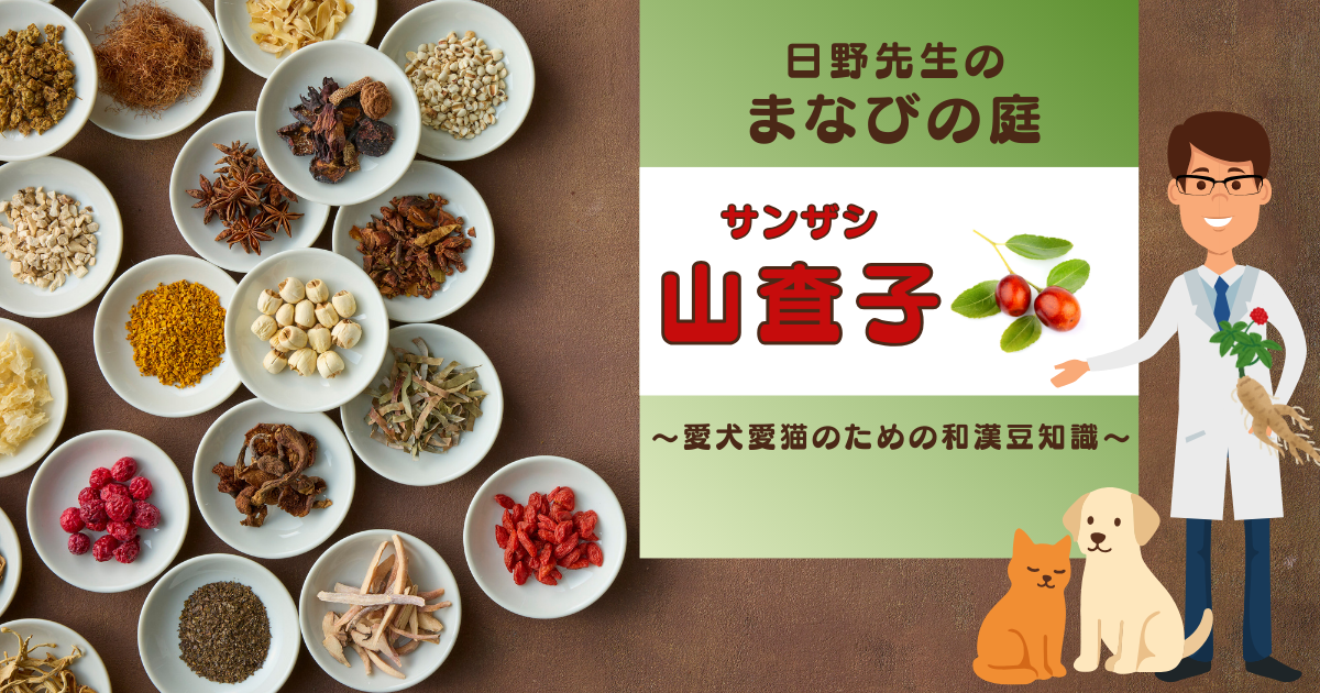犬猫　ペット　和漢植物　生薬　薬膳　自然の森製薬　みらいのドッグフード　和漢サプリシリーズ　ペットサプリ　日野先生　サンザシ　さんざし　山査子