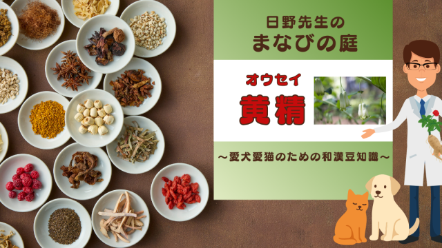 犬猫　ペット　和漢植物　生薬　薬膳　自然の森製薬　みらいのドッグフード　和漢サプリシリーズ　ペットサプリ　日野先生　オウセイ　おうせい　黄精