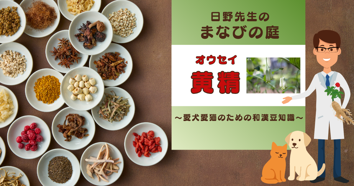 犬猫　ペット　和漢植物　生薬　薬膳　自然の森製薬　みらいのドッグフード　和漢サプリシリーズ　ペットサプリ　日野先生　オウセイ　おうせい　黄精