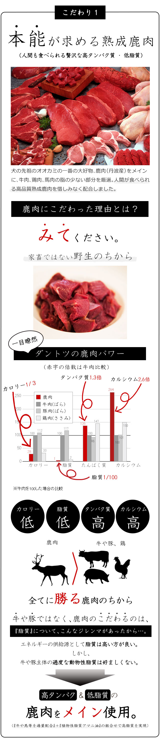 愛がん犬の食事療法 みらいのドッグフード 癌 腫瘍 リンパ腫等の治療対策ではありません