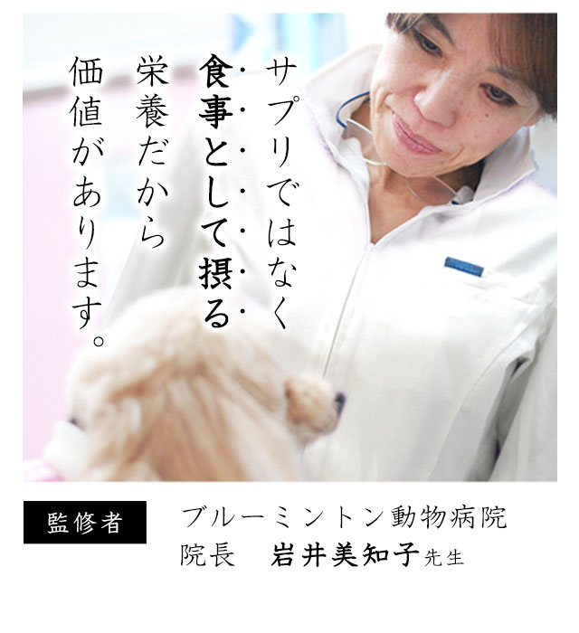 愛がん犬の食事療法 みらいのドッグフード 癌 腫瘍 リンパ腫等の治療対策ではありません