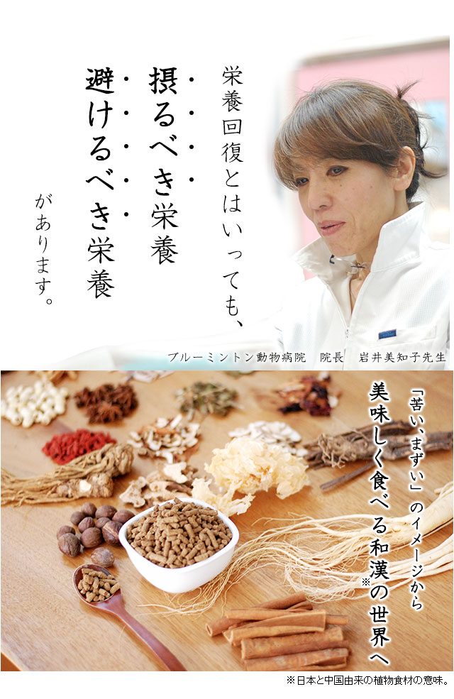 愛がん犬の食事療法 特別療法食 和漢 みらいのドッグフード 癌 腫瘍 リンパ腫等の治療対策ではありません