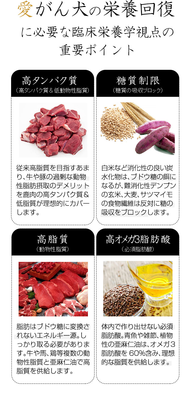 日本公式通販サイト 和漢 みらいドッグフード ガン・腎臓 1㎏×4 - www 