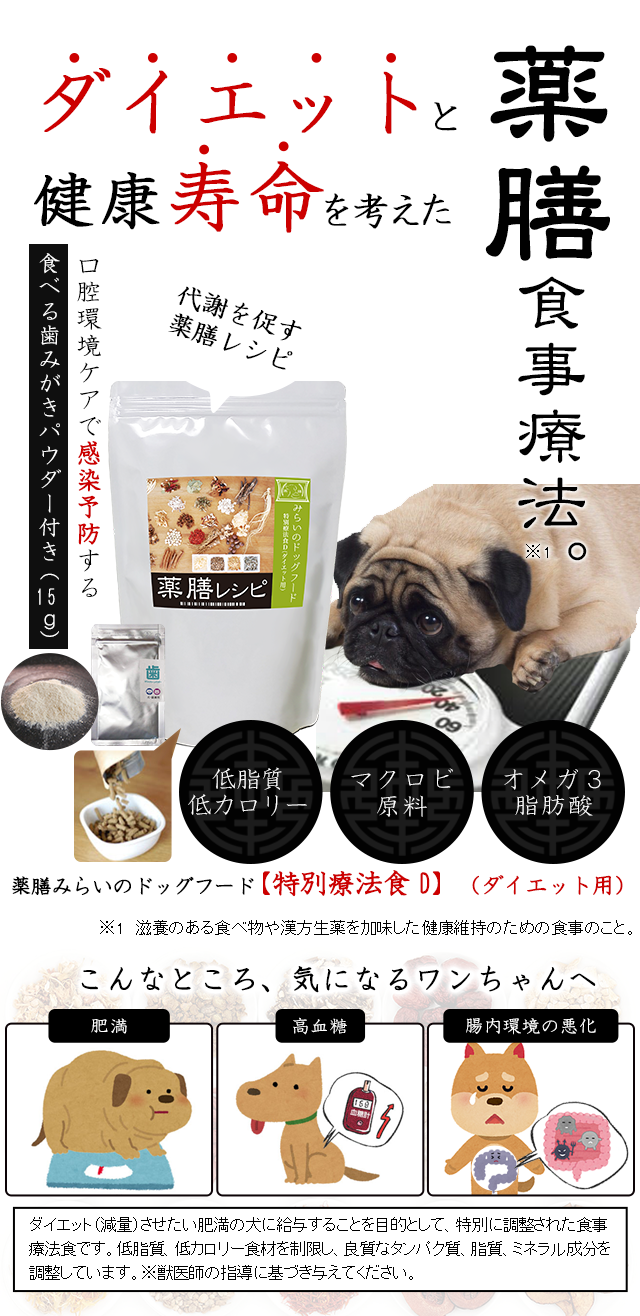 犬のダイエット 減量 肥満対策の食事療法 和漢 みらいのドッグフード