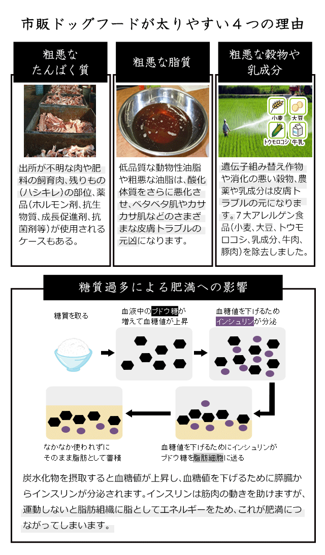 犬のダイエット・減量・肥満のための食事療法～和漢・みらいの