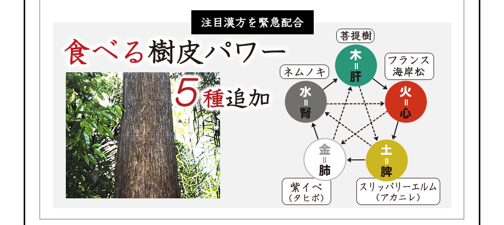 愛犬用和漢食事レシピ　犬のマクロビとは？