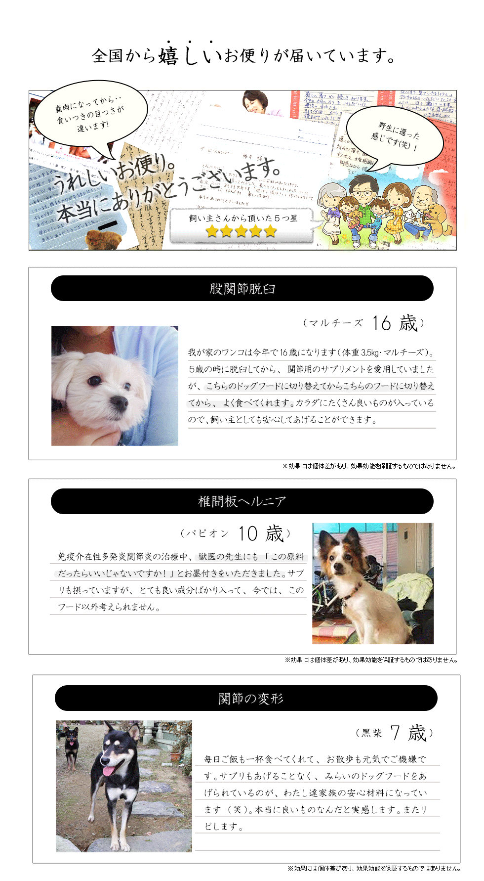 犬の足や腰の骨関節･ヘルニア対策･予防に和漢みらいのドッグフードを利用した全国から嬉しいお便りが届いています。
