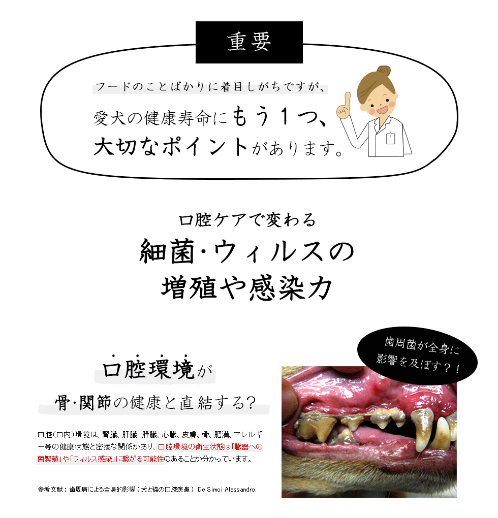 愛犬の健康寿命にもう1つ、大切なポイントがあります。　口腔環境が健康寿命に直結する？