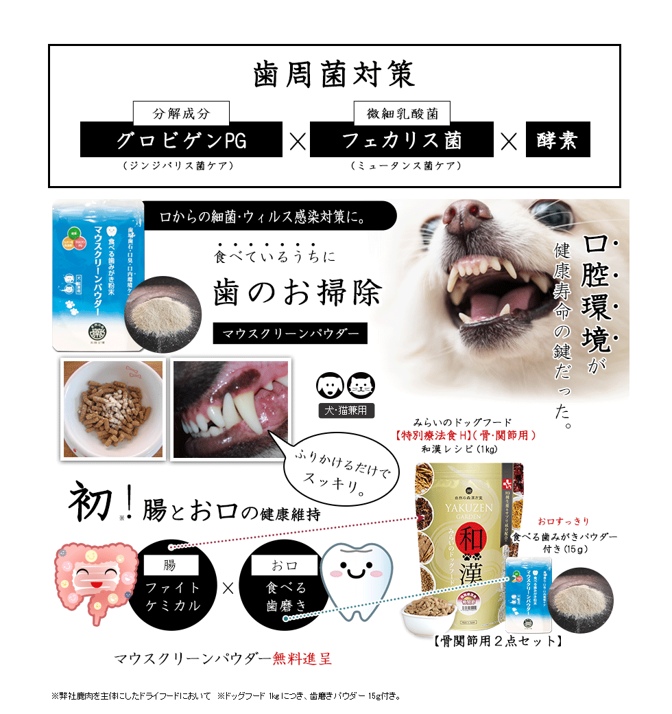 歯のお掃除　マウスクリーンパウダー　口腔環境が健康寿命の鍵だった。健康長寿セット