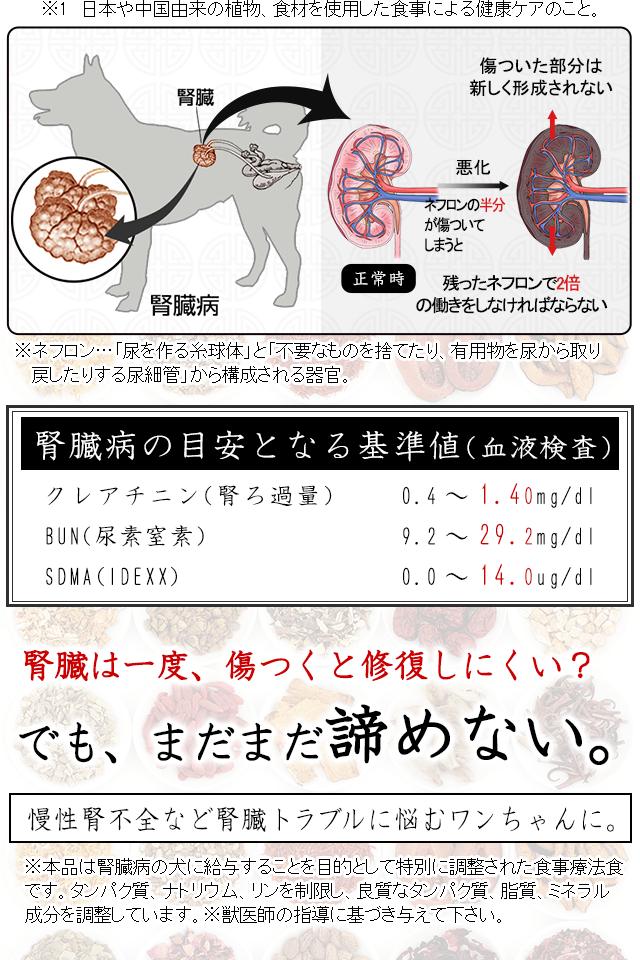 犬の腎臓病・腎不全・尿毒症（BUN・クレアチニン）対策の食事療法 