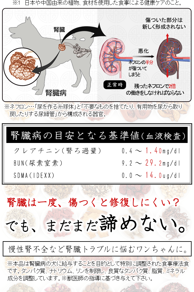 犬の腎臓病・腎不全・尿毒症（BUN・クレアチニン）のための食事療法～和漢・みらいのドッグフード