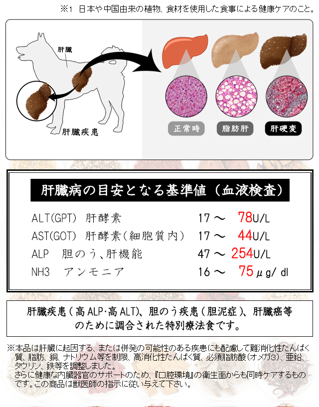 犬の肝臓病・肝炎・胆泥症のための食事療法～和漢・みらいの