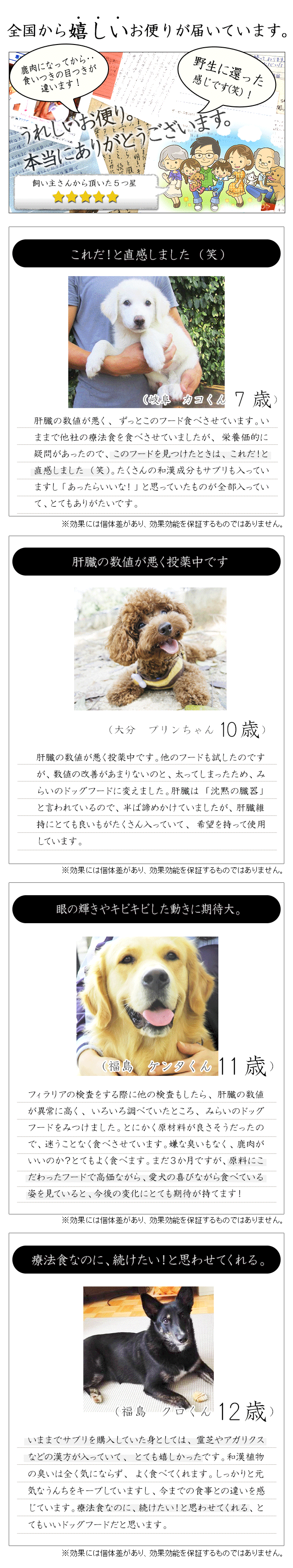 犬の肝臓病 肝炎 胆泥症 胆嚢 Alp Alt Gpt Ast Got 肝臓癌対策の食事療法 薬膳 みらいのドッグフード 肝臓用