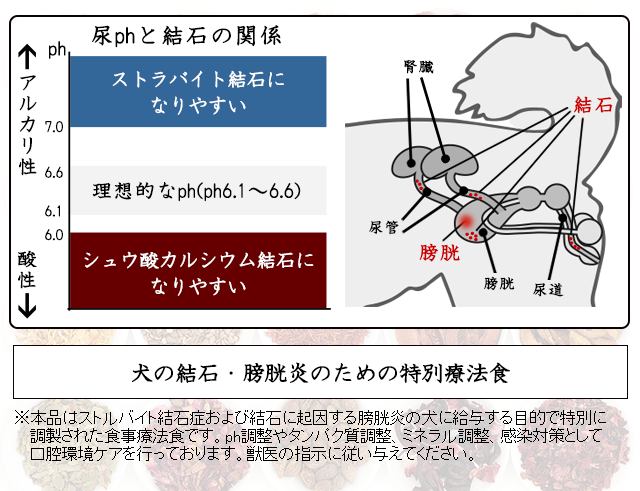 犬のストラバイト結石（ストルバイト結石）・膀胱結石・腎臓結石のための食事療法～和漢・みらいのドッグフード