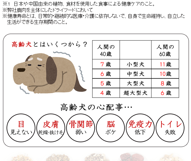 高齢犬 シニア犬 老犬対応の食事 和漢 みらいのドッグフード シニアサポート 高齢 療養用