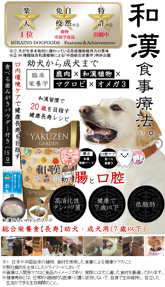 犬 ご飯 ブドウ糖α 犬用栄養補助食品