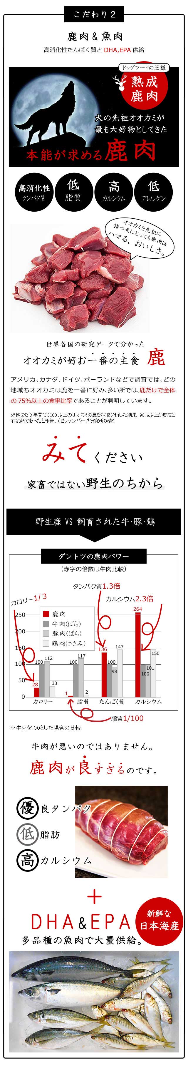 高齢犬・シニア犬・老犬のための食事～和漢・みらいのドッグフード