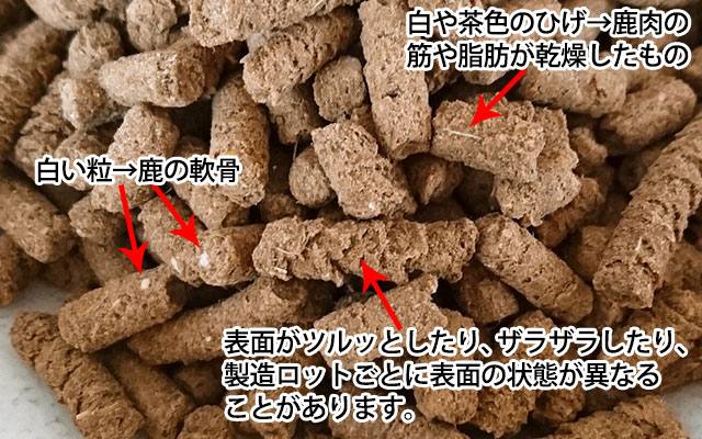 犬の皮膚アレルギー・かゆみのための食事療法～和漢・みらいのドッグフード