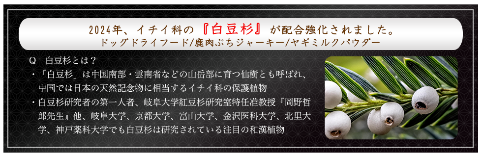 【新89種和漢植物が刷新】2024バージョンUP版