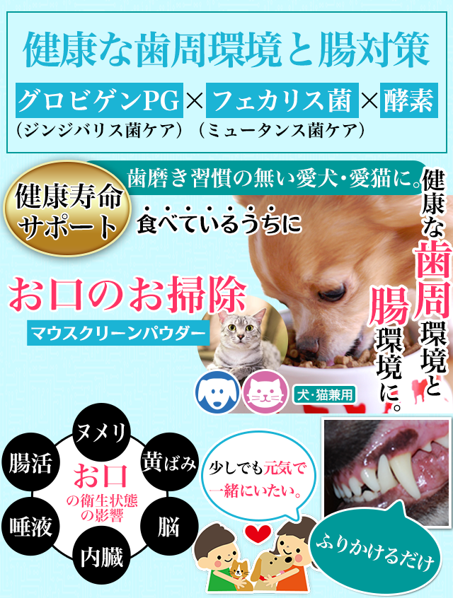 犬や猫の虫歯、歯周（歯垢・歯石）対策、歯磨き（歯みがき）、口腔環境