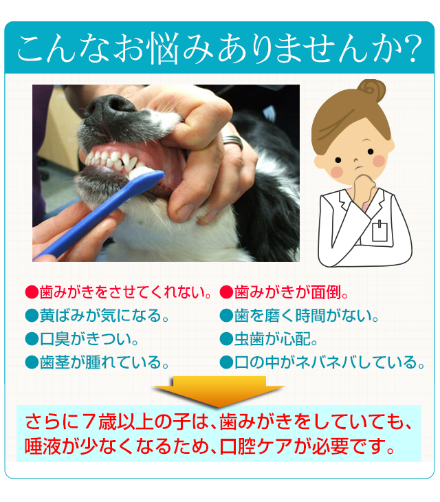 犬や猫の虫歯、歯周（歯垢・歯石）対策、歯磨き（歯みがき）、口腔環境