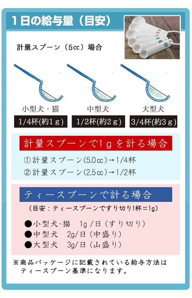 犬や猫の虫歯、歯周（歯垢・歯石）対策、歯磨き（歯みがき）、口腔環境